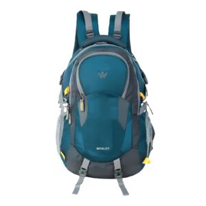 Deal Wesley Spartan 17.3 inch Laptop Backpack Rs. 494