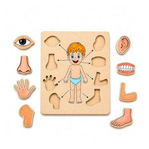 Body Part Puzzle Kids Wooden Toys at Rs183 | Amazon Deal